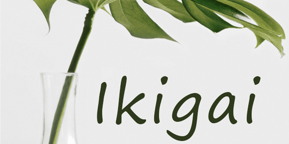 ¿Qué es IKIGAI?