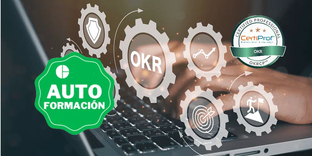okr-professional okr-professional