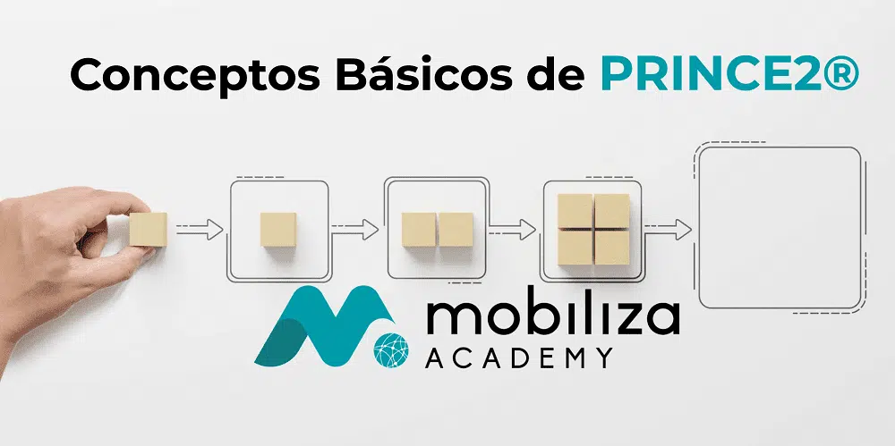 Prince 2