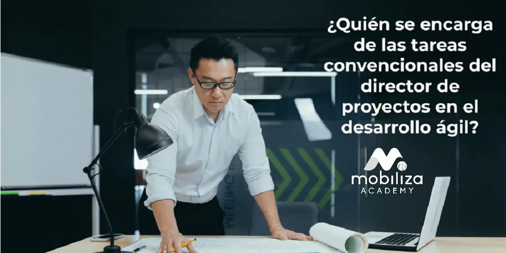 Director proyectos