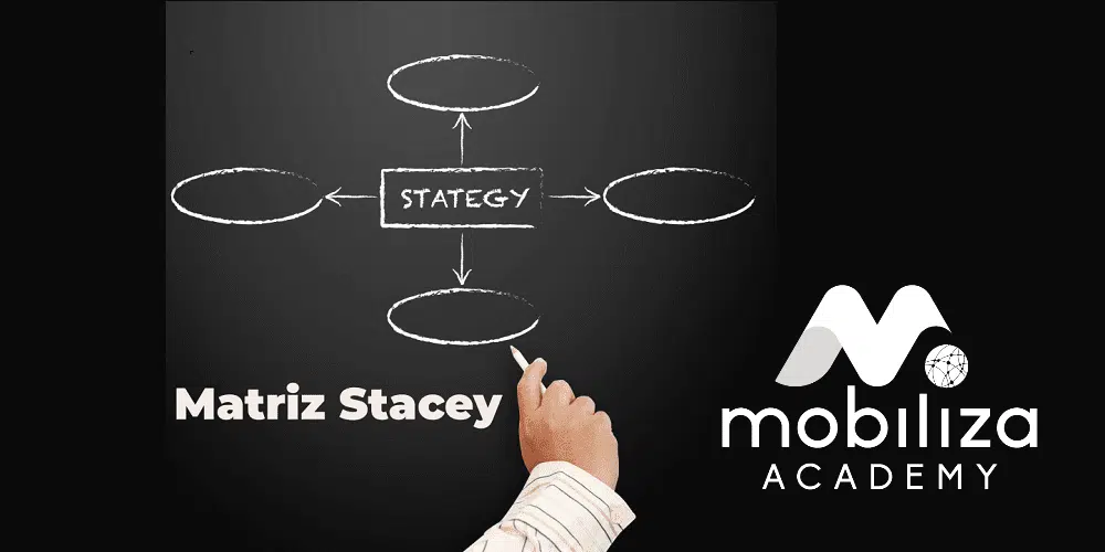 matriz stacey
