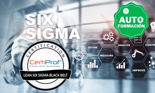 Lean Six Sigma Black Belt AUTOFORMACION
