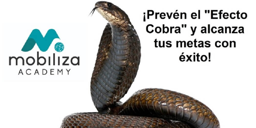 ¡Prevén el "Efecto Cobra" y alcanza tus metas con éxito!