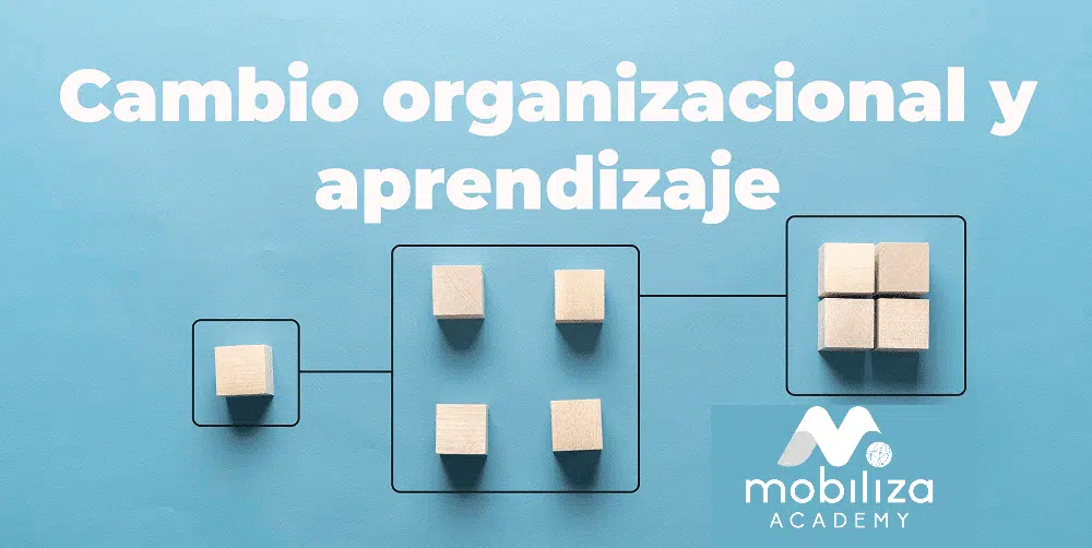 Cambio organizacional y aprendizaje