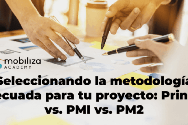 pmi prince