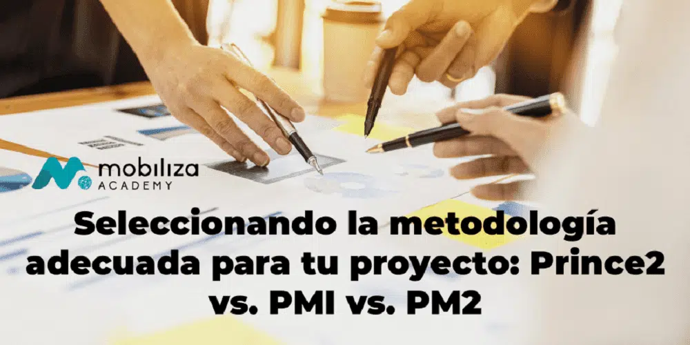 pmi prince