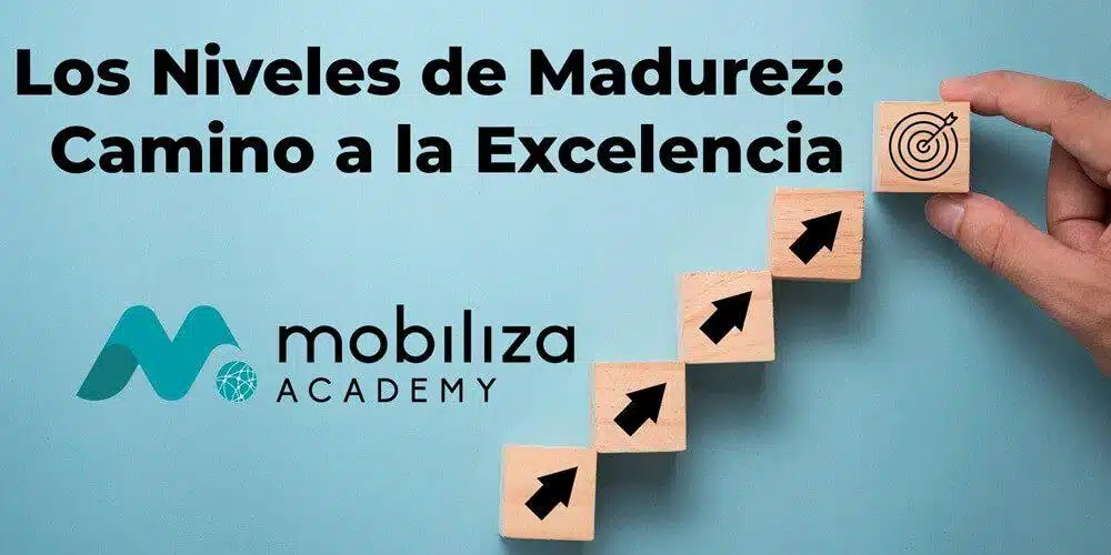 niveles de madurez exito